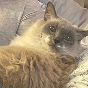 Meet your Posher, Isabell